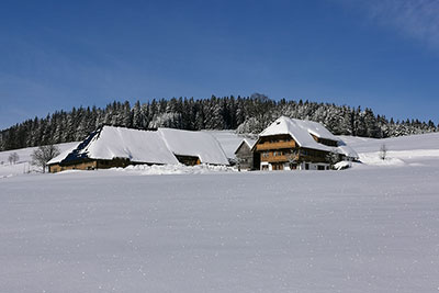 Der Haldenmichelhof im weißen Winterkleid