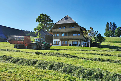 Heuernte auf dem Haldenmichelhof