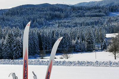 Zahlreiche Skigebiete z.B. der Feldberg sind in kurzer Zeit zu erreichen