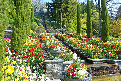 Insel Mainau bei Konstanz am Bodensee