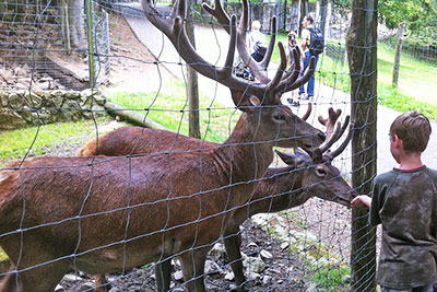 Steinwasenpark bei Oberried