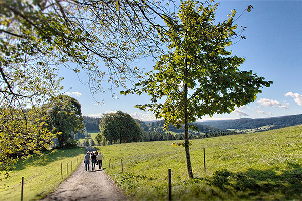 Wandern in Breitnau & Umgebung