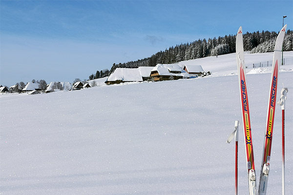 Herrliche Winterlandschaft - Zahlreiche Skigebiete in der Nähe