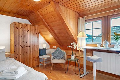 Schlaf- und Arbeitszimmer mit Einzelbett